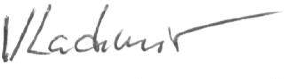 vladmir signature
